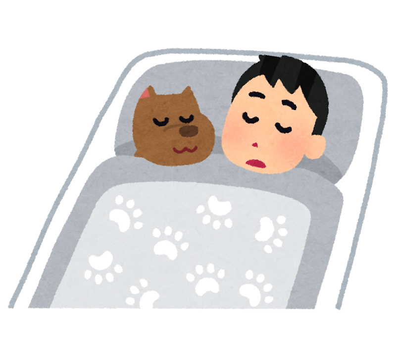 寝ている間は「意識不明」な状態で、大変無防備です。この状況で地震に見舞われても、隠れる暇もありません