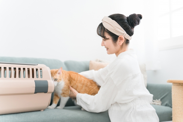 日常からペットをケージトレーニングをして慣らしておく
